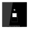Компьютерная одинарная розетка кат.5е, цвет Черный, JUNG LS990 