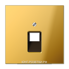 Компьютерная одинарная розетка кат.5е, цвет Имитация золота, JUNG LS990 
