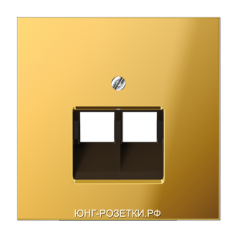 Компьютерная двойная розетка кат.5е, цвет Имитация золота, JUNG LS990 