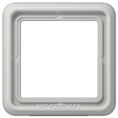 JUNG CD 500 Светло-серый Рамка 1-я (CD581LG) CD581