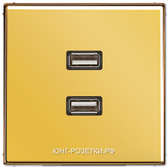 JUNG LS 990 Имитация золота Розетка USB 2-я