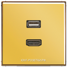 JUNG LS 990 Имитация золота Розетка HDMI+USB